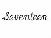 Montague Script House Number - Seventeen