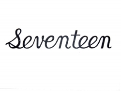 Montague Script House Number - Seventeen